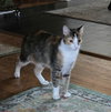 Lilith - Photo 5
