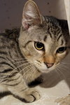 Blaze - Photo 6