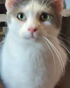 Carl - Photo 2
