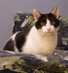 Emily Pickles - Photo 1