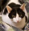 Emily Pickles - Photo 5
