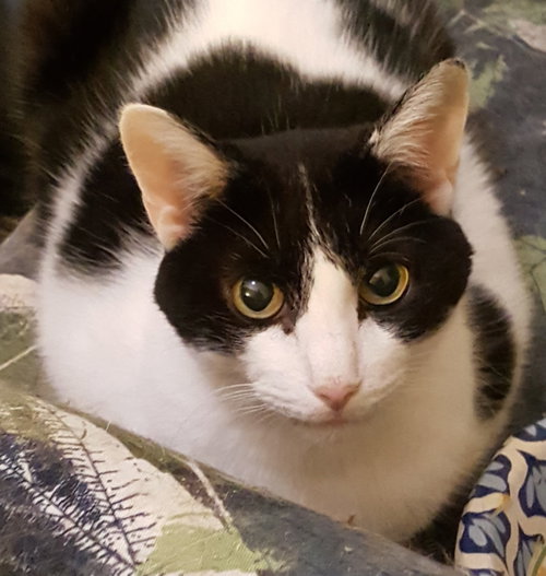 Photo of Emily Pickles