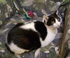 Emily Pickles - Photo 6