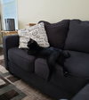 Dizzy - Photo 10