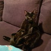 Dizzy - Photo 11