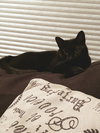 Dizzy - Photo 15