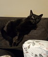 Dizzy - Photo 16