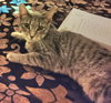 Belovedth Tessa - Photo 1