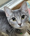 Belovedth Jenna - Photo 4