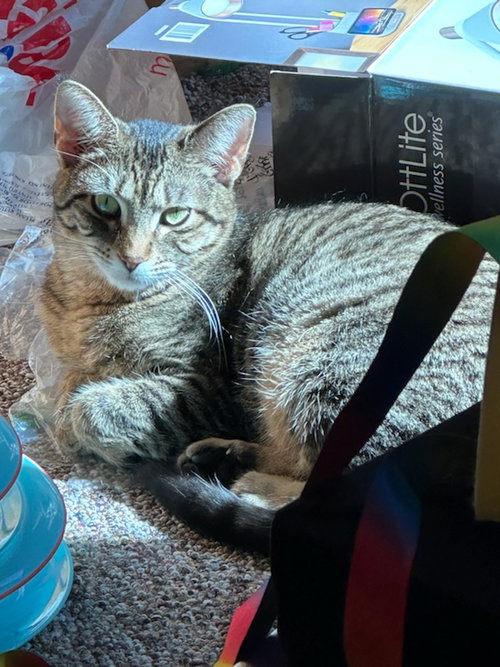 Photo of Charlie