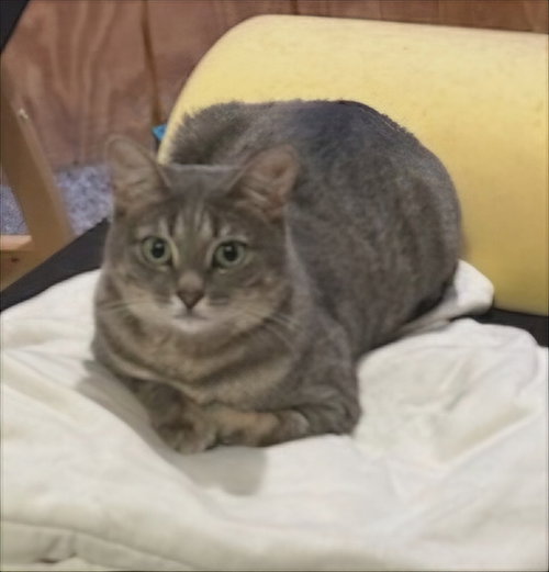 Photo of Charlie