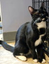 Jackety Jack - Photo 4