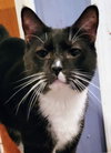 Buddy Boy - Photo 2