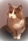 Ethan - Photo 2