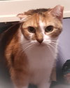 Babette - Photo 1