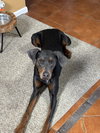 Hope - Photo 5