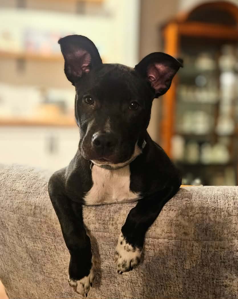 Jillian