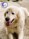 Wilma
