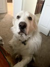 Riley
