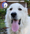 Boaz, bonded with Layla