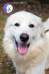 Aura, bonded with Orion