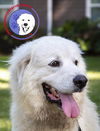 Orion, bonded with Aura