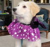 Nilla Wafer