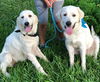 Clancy bonded with Cassidy