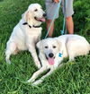 Cassidy bonded with Clancy