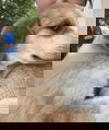 Wafer