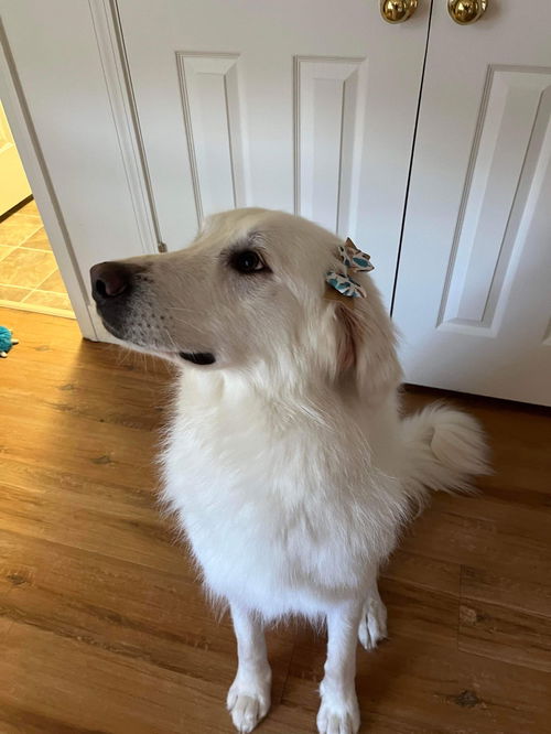 Loki