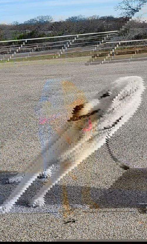 Daisy5