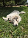 Ladie - Photo 3