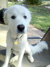 Emmie