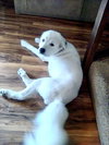 Emmie