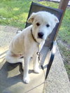Emmie