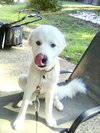 Emmie