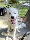 Emmie