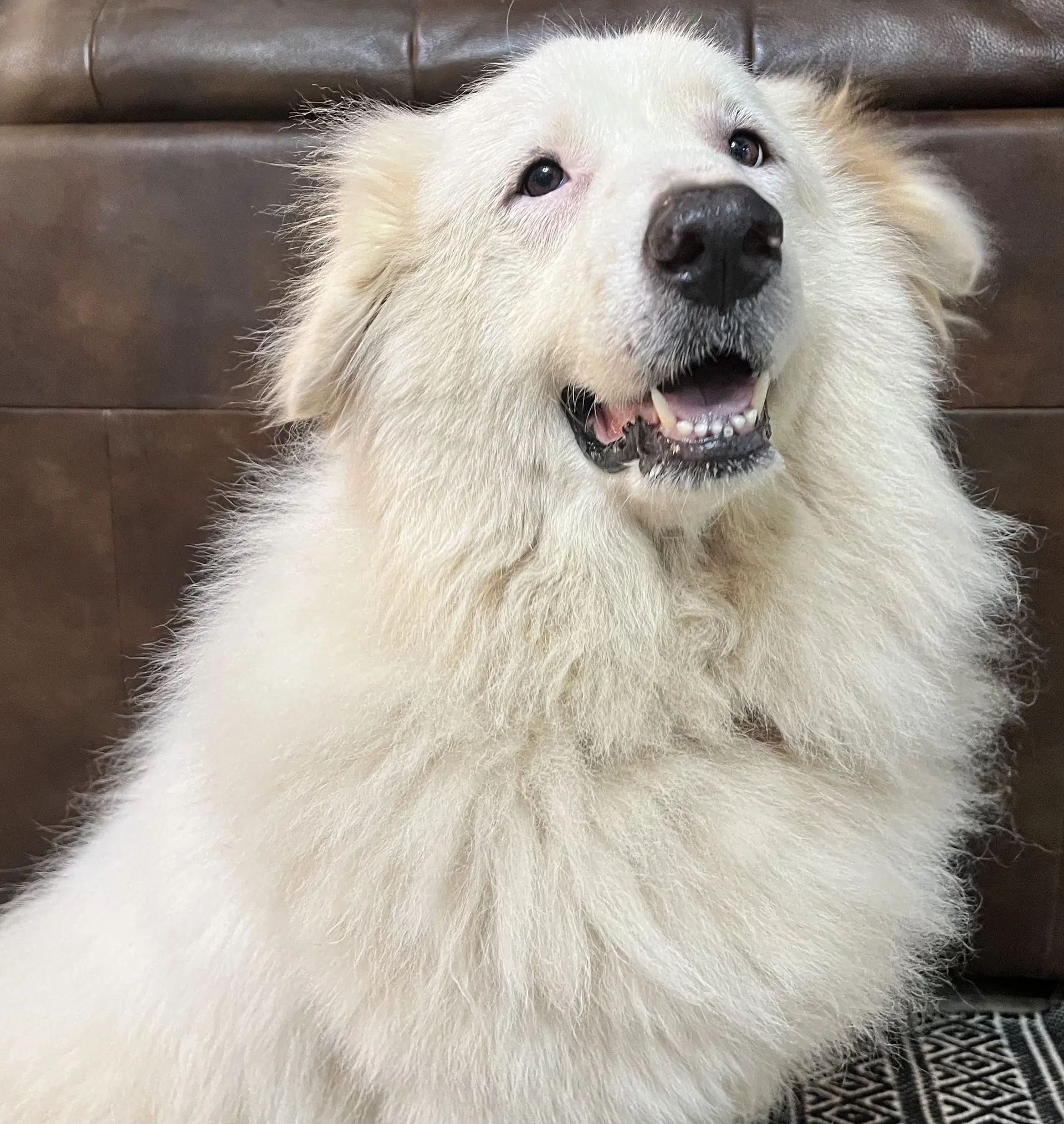 Teagan image 2