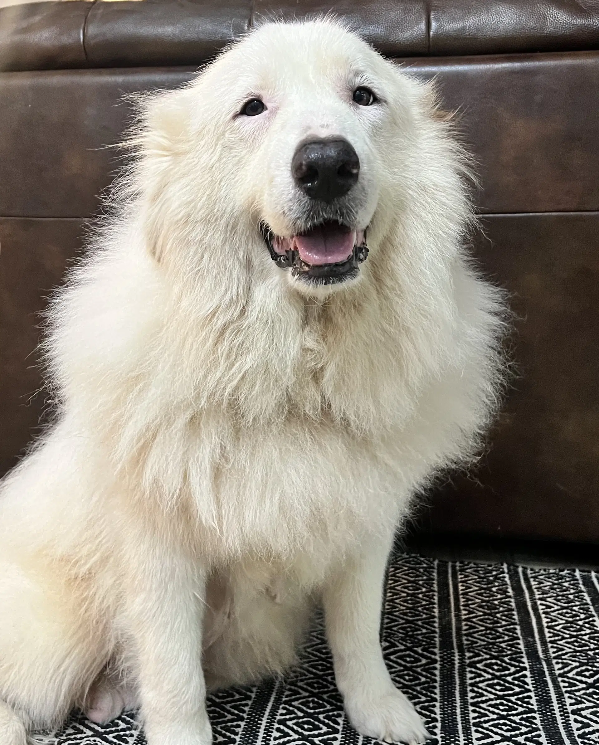 Teagan image 3