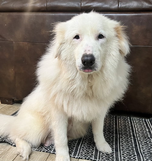 Teagan photo 4