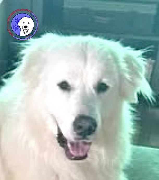 Lupon Image