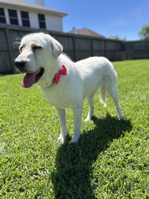 Elsa photo 2