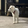 Maddie