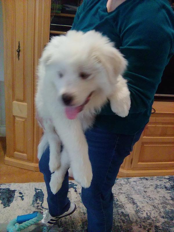 Murphy