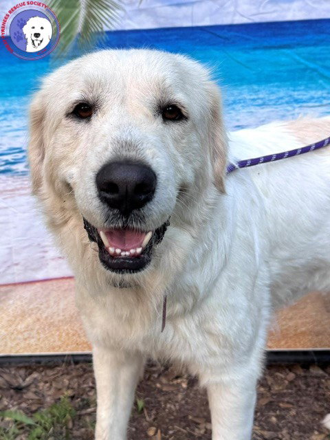 Josie photo 2