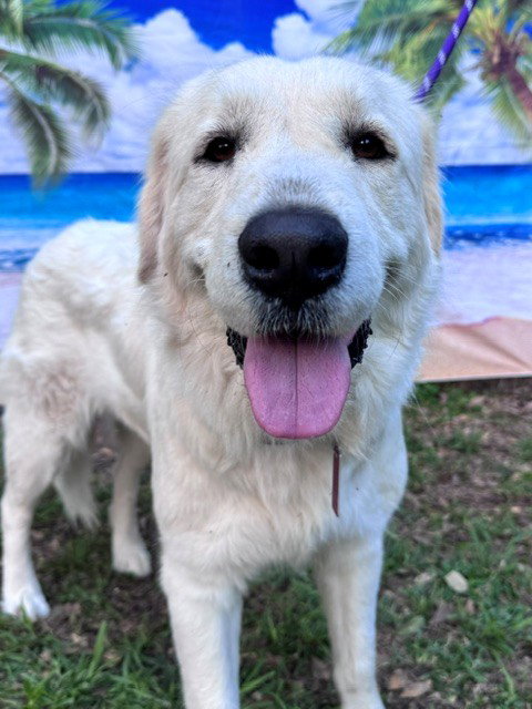 Josie photo 5