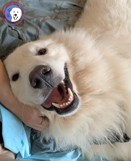 Ted photo 2