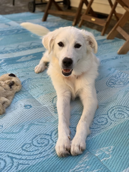 Photo 6 of Nelly