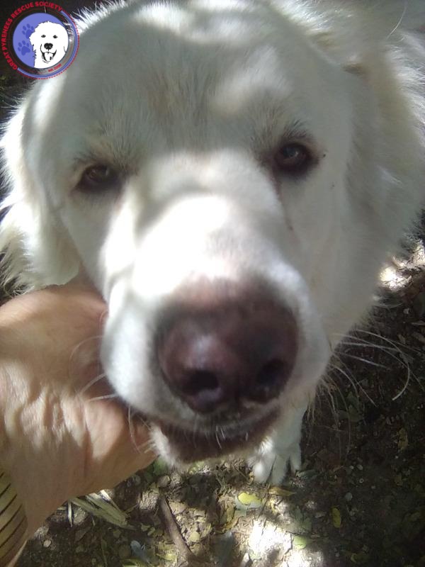 Kelly, photo 6